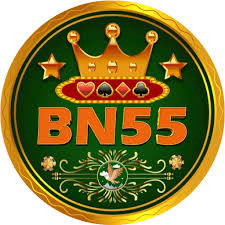BN55